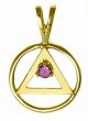 02-1 AA 14k Gold Pendant with Birthstones